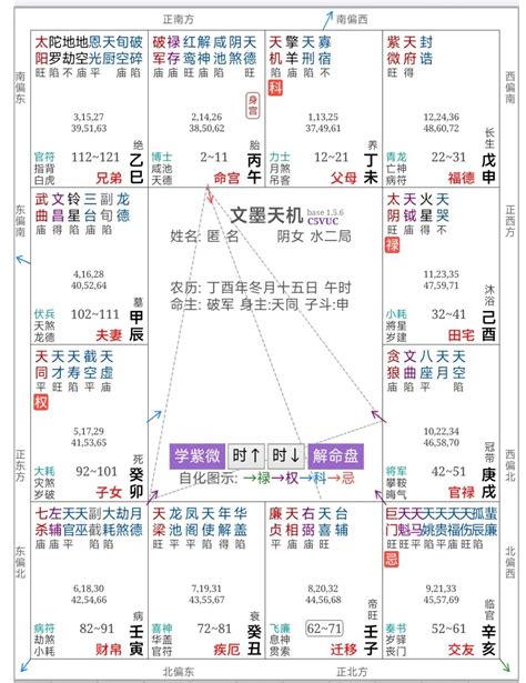 偏房命格|紫微斗数巨日偏房格（一看就会）